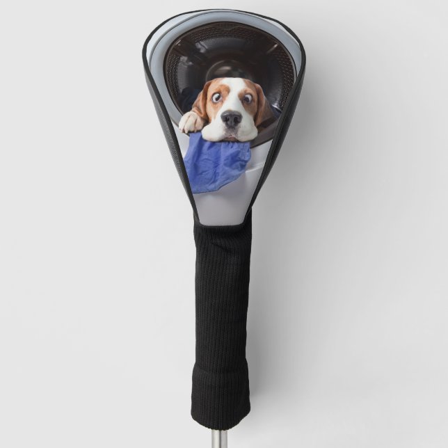 Benommener Beagle mit feiner Wäsche Golf Headcover (Vorderseite)