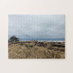 Benson Beach, Cape Enttäuschung, Washington