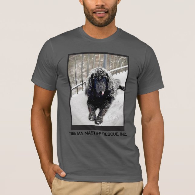 Bentley Graues T-Shirt (Vorderseite)