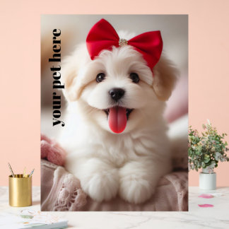 Benutzerdefiniert Acrylschild