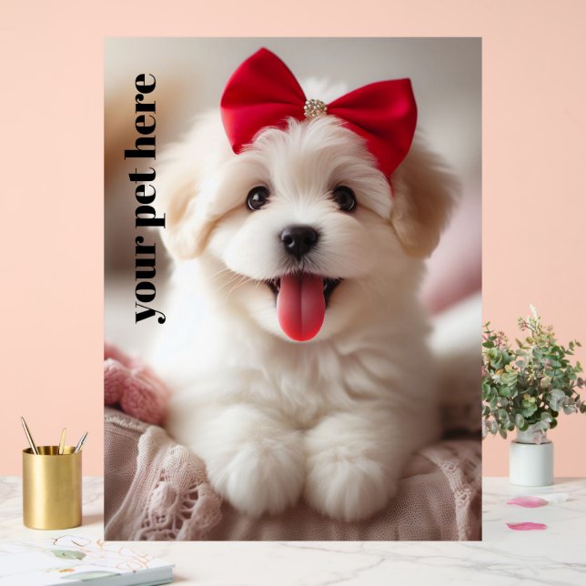 Benutzerdefiniert Acrylschild (Hochzeit)