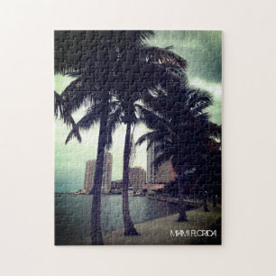 Benutzerdefiniert Miami Florida Innenstadt und Haf