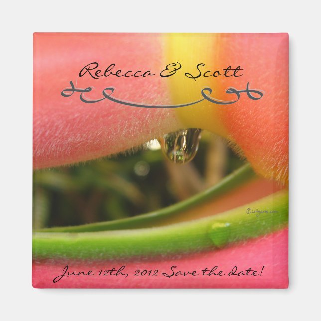 Benutzerdefiniert Speichern der Datumsmagnete für  Magnet (Vorne)