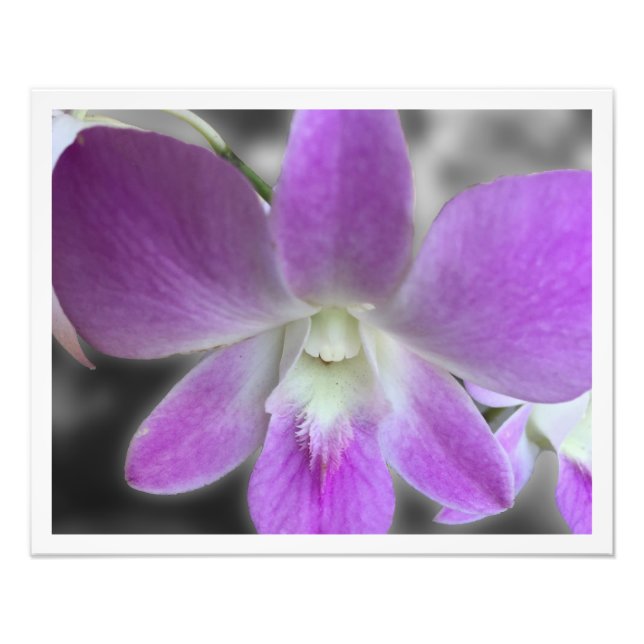 Benutzerdefinierte 16 x 20 Foto-Erweiterung Fotodruck (Vorne)