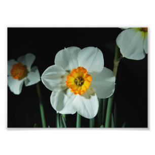 Benutzerdefinierte 7" x 5" Foto-Erweiterung Fotodruck