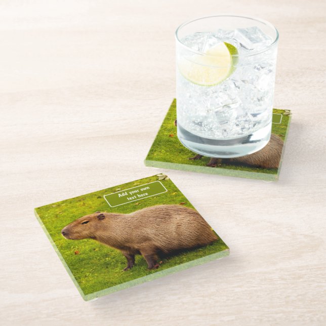Benutzerdefinierte Capybara Glasuntersetzer (Schrägansicht)