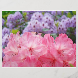 Benutzerdefinierte Flyer erstellen rosa Rhodies-Bl