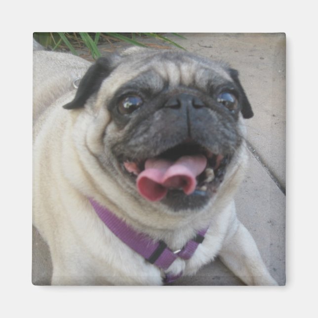 Benutzerdefinierte Foto-Magnete Magnet (Vorne)