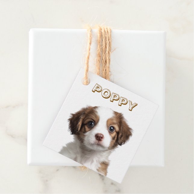 Benutzerdefinierte Foto- und Namensfavorisierungst Geschenkanhänger (Beispiel)