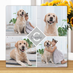 Benutzerdefinierte Fotocollage Monogramm Name Hund Fotoplatte