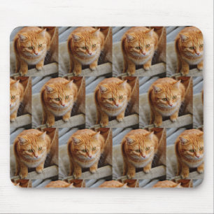 Benutzerdefinierte Fotovorlage Fotocollage Haustie Mousepad