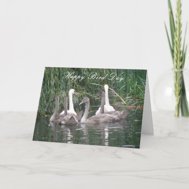Benutzerdefinierte Geburtskarte für Swans und Cygn Karte (Vorderseite)