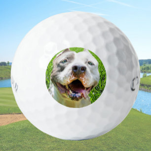 Benutzerdefinierte Golfbälle mit Hunde-Foto Erstel