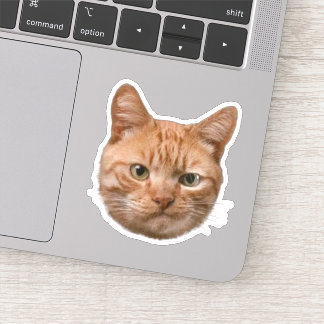 Benutzerdefinierte Haustier-Aufkleber Hund Katze F Aufkleber
