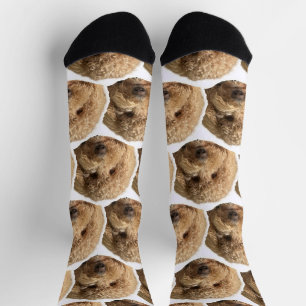 Benutzerdefinierte Haustier-Gesicht-Socken für Hun Socken