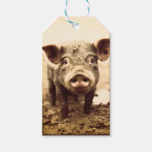 Benutzerdefinierte Hogs & Kisses Muddy Piglet Bout Geschenkanhänger