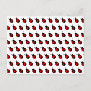 Benutzerdefinierte Ladybugs-Postkarte Postkarte