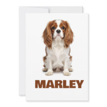 Benutzerdefinierte Liebe Hunde Liebhaber Name