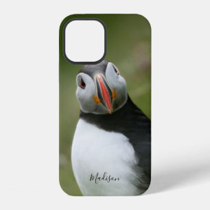 Benutzerdefinierte Name Papageientaucher-Handyhüll iPhone 12 Hülle