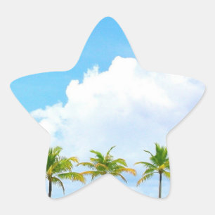 Benutzerdefinierte Palms Blue Sky Wolken Blank Tem Stern-Aufkleber