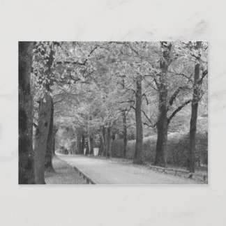 Benutzerdefinierte Postkarten "Archway"