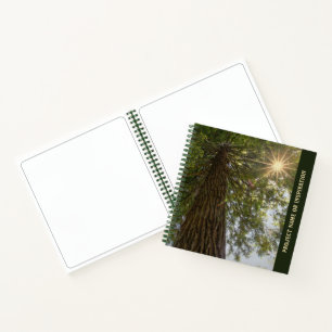 Benutzerdefinierte Sequoia mit Sunburst Foto Sketc Notizbuch