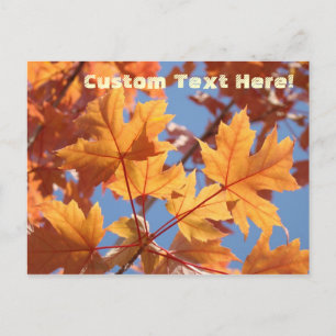 Benutzerdefinierte Textpostkarten fallen Tree-Blät Postkarte