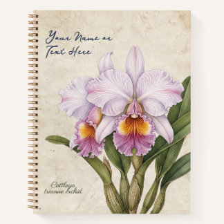 Benutzerdefinierte Vintage-Cattleya-Trianae-Orchid Notizbuch