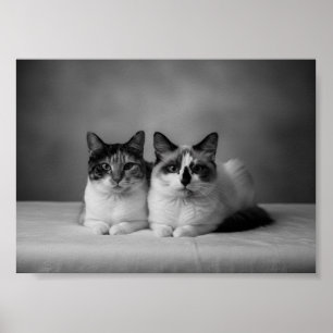 Benutzerdefinierter 4K Schwarzweiß-Haustier-Porträ Poster