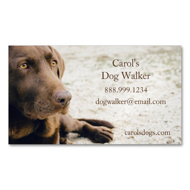 Benutzerdefinierter Dog-Walker, Haustier-Sitting-B Magnetische Visitenkarte (Vorderseite)