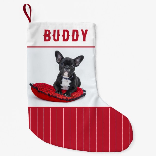 Benutzerdefinierter Dogenname und Personalisiertes Kleiner Weihnachtsstrumpf (Vorderseite)