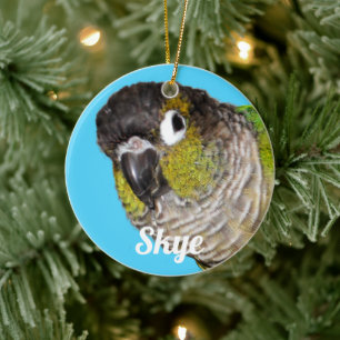 Benutzerdefinierter Foto-Name für Haustiervogel Keramik Ornament