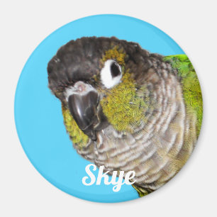 Benutzerdefinierter Foto-Name für Haustiervogel Magnet