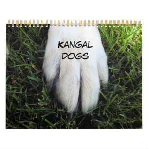 Benutzerdefinierter gedruckter Kalender