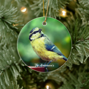 Benutzerdefinierter Gelbbrust-Vogelfoto-Personalis Keramik Ornament