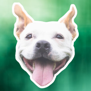 Benutzerdefinierter Gesicht-Sticker, Personalisier Aufkleber