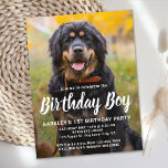 Benutzerdefinierter Hund Geburtstag Haustiere Foto Postkarte<br><div class="desc">Geburtstagskind! Laden Sie Freunde und Familie zu Ihrer Welpen- oder Hundegeburtstagsfeier mit dieser einfachen Begleiterin-Geburtstagskarte für das Foto ein. Fügen Sie Ihr Lieblings-Foto hinzu und personalisieren Sie mit Namen, Geburtstagsnummer und allen Hundegeburtstag-Infos! Wechseln Sie zum Geburtstagskind eines Mädchenjungen. Besuchen Sie unsere Kollektion für die passende Geburtstagsdekoration von Haustieren und Geschenke....</div>