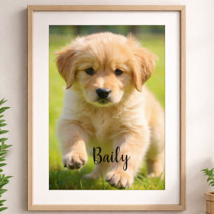 Benutzerdefinierter Hunde-Foto-Poster mit Namens-W Poster