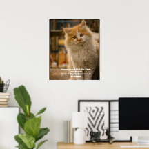 Benutzerdefinierter Katzenporträtposter - Digitale