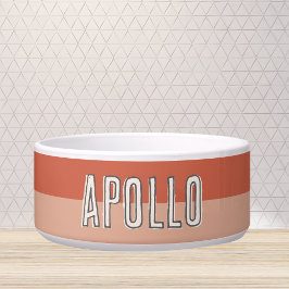 Benutzerdefinierter, moderner Name des zwei Tone-T Napf