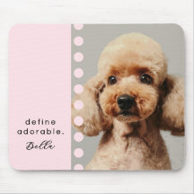 Benutzerdefinierter Name Hund Lustiger Spruch Foto