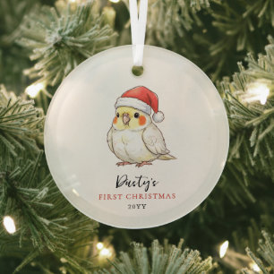 Benutzerdefinierter Nymphensittich mit Weihnachtsm Ornament Aus Glas