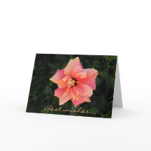 Benutzerdefinierter Text für den Sweet Pink-Hibisk