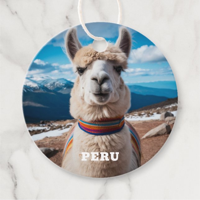 Benutzerdefinierter Text Peru Llama Geschenkanhänger (Vorderseite)