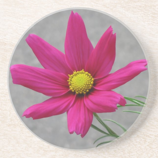 Benutzerdefinierter Untersetzer der rosa Blume (Vorne)