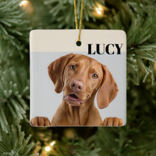 Benutzerdefinierter Weihnachts-Foto-Schmuck Hund & Keramikornament