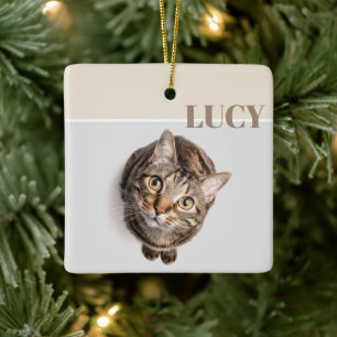 Benutzerdefinierter Weihnachts-Foto-Schmuck Katze Keramikornament
