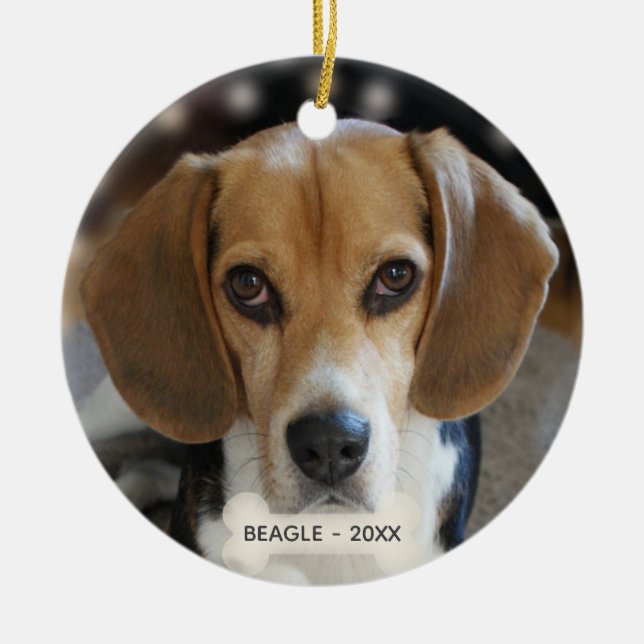 Benutzerdefiniertes Beagle-Dog-Foto Keramik Ornament (Vorne)