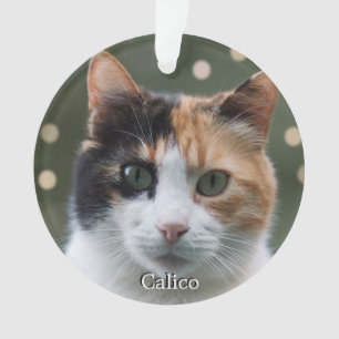 Benutzerdefiniertes Calico-Katzen-Foto personalisi Ornament