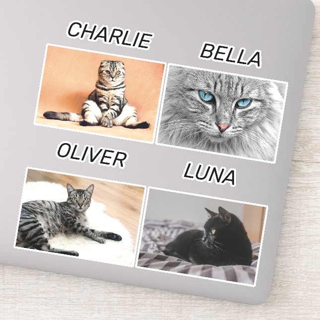 Benutzerdefiniertes Cat-Foto und Katzenname Person Aufkleber (Detail)